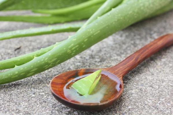 6 Skincare Benefits of Aloe Vera