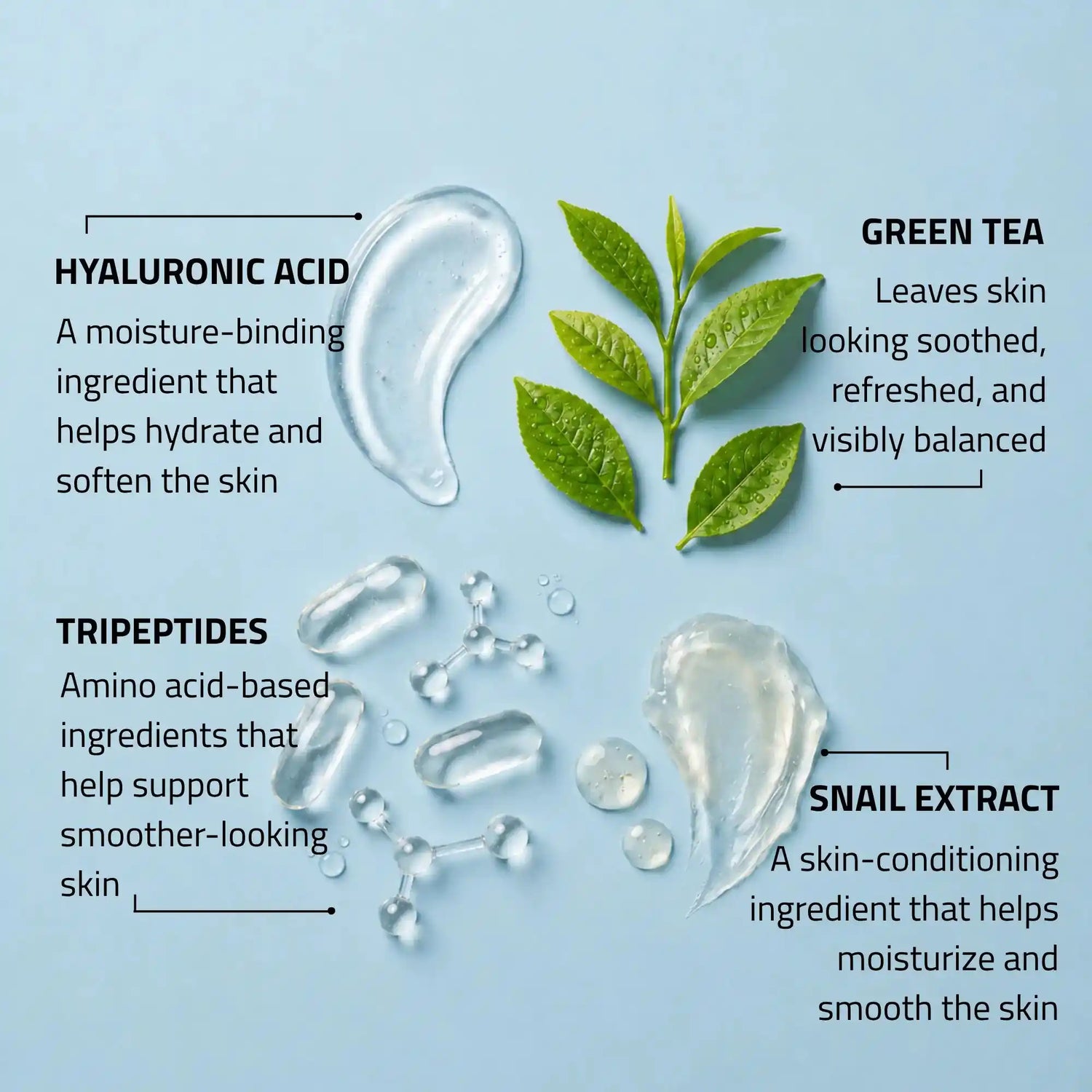 Day Night Cream with Snail Extract