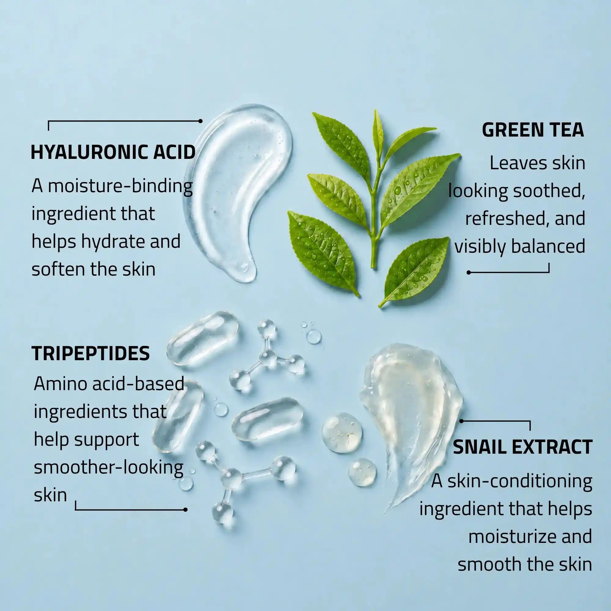 Day Night Cream with Snail Extract