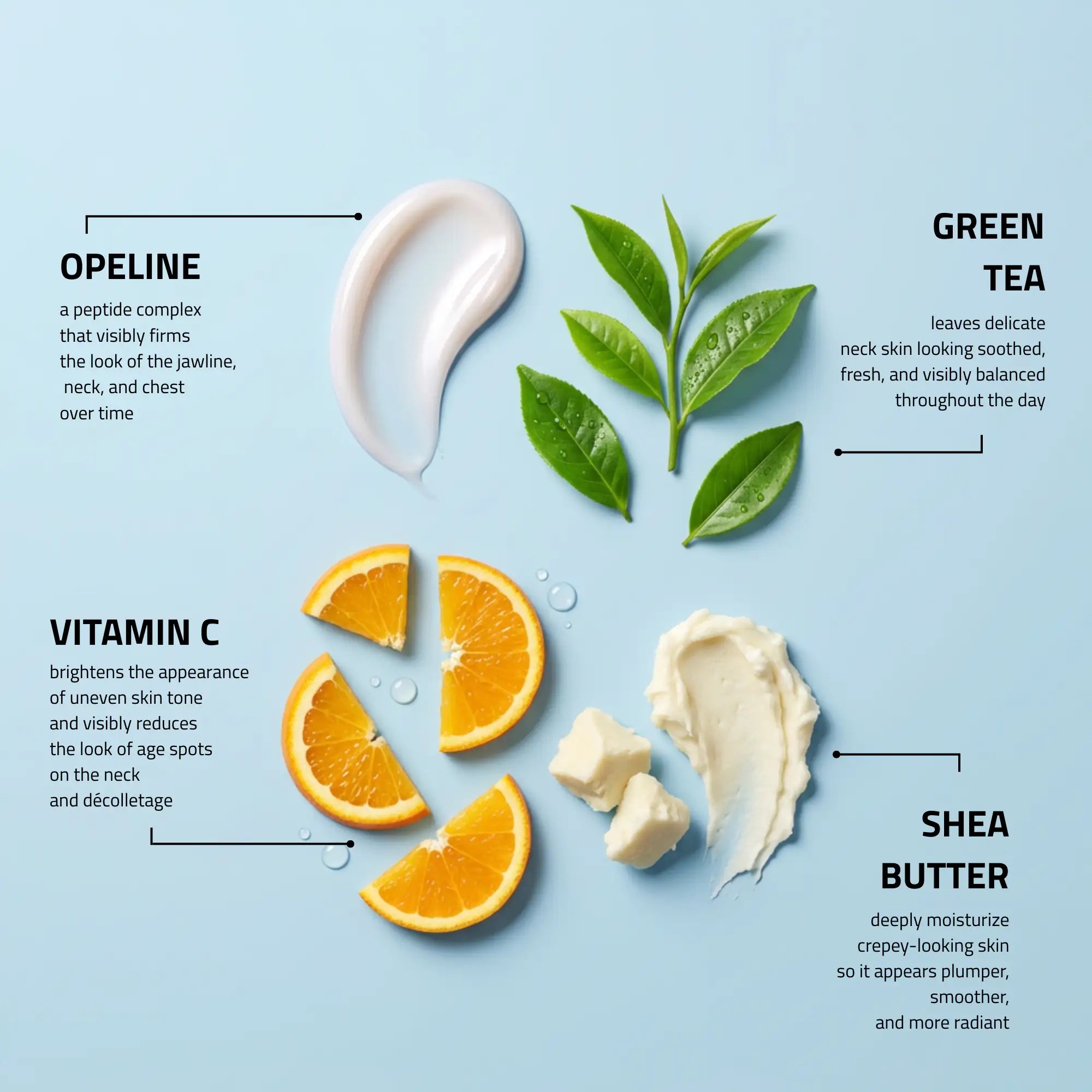 Day Night Cream with Snail Extract