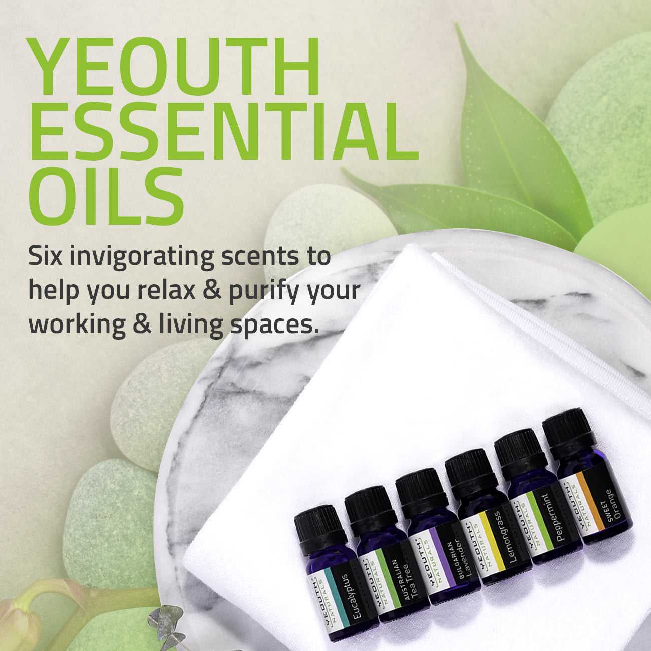 Pure Essential Oils | Aromatherapy Set of 6: Peppermint Oil, Australian Tea Tree Oil, Eucalyptus Oil, Lavender Oil, Sweet Orange Oil, Lemongrass Oil Pure Essential Oils | Aromatherapy Set of 6: Peppermint Oil, Australian Tea Tree Oil, Eucalyptus Oil, Lavender Oil, Sweet Orange Oil, Lemongrass Oil
